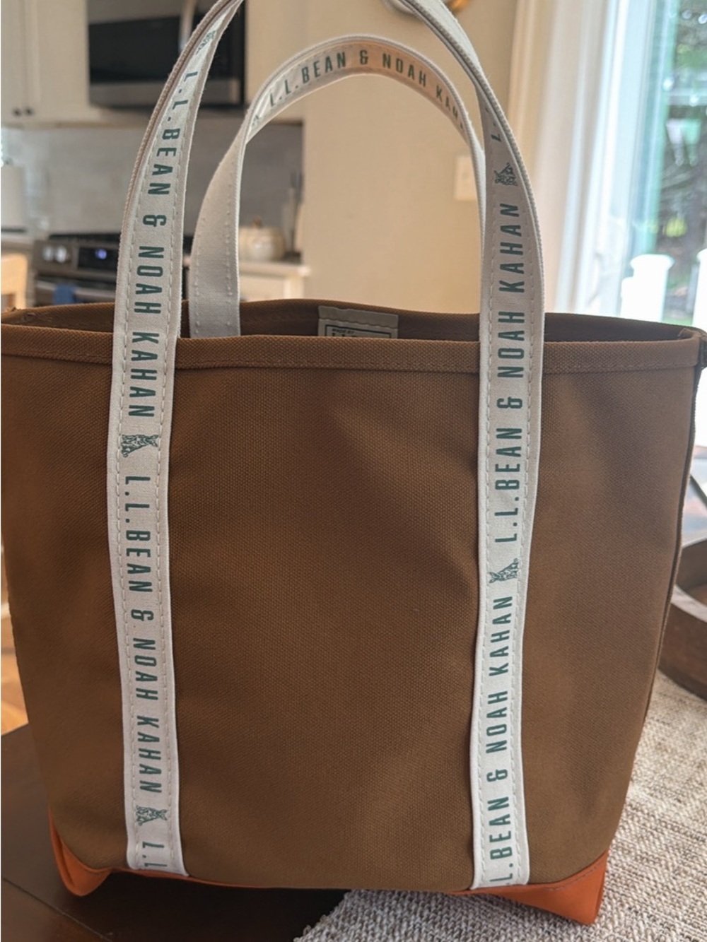 LL Bean Noah Kahan Boat and Tote